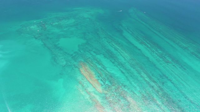 Shallow Turquoise Water with Coral and Moving Current