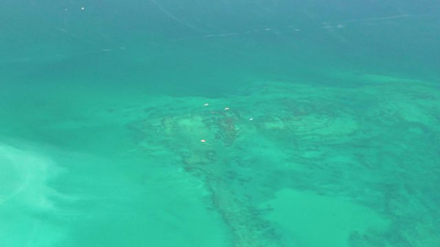 Underwater Scene with Clear Turquoise Water and Seabed