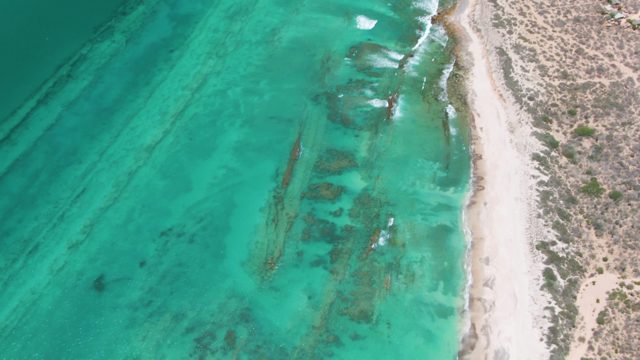 Shoreline with Turquoise Water and Sandy Beach