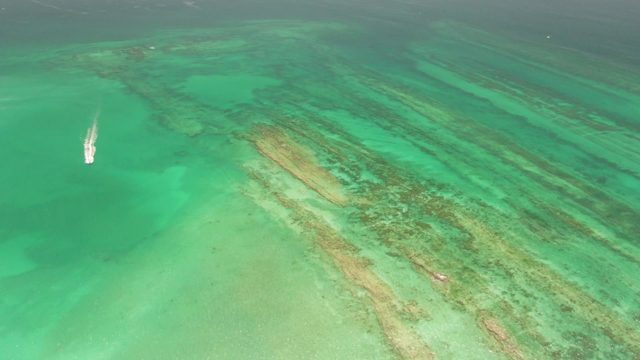 Small Boat Gliding over Clear Turquoise Sea Floor
