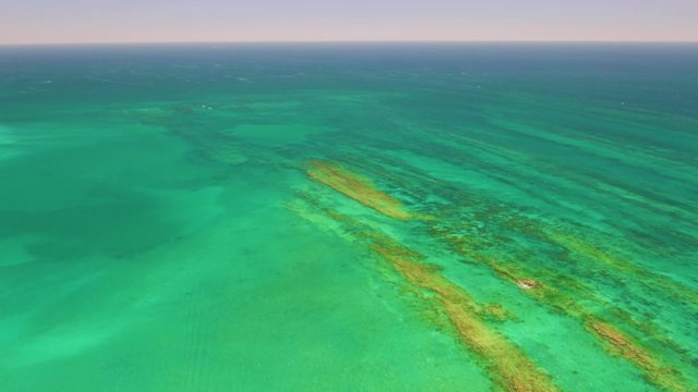 Coral Reefs and Shallow Ocean Waters