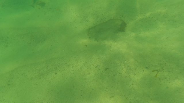 LOS BARIELLES BCS MEXICO-2023: Underwater View of Sandy Seabed with Rocks and Fish