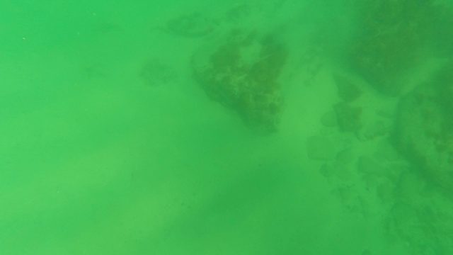 LOS BARIELLES BCS MEXICO-2023: Underwater Seabed with Small Fish and Rocks