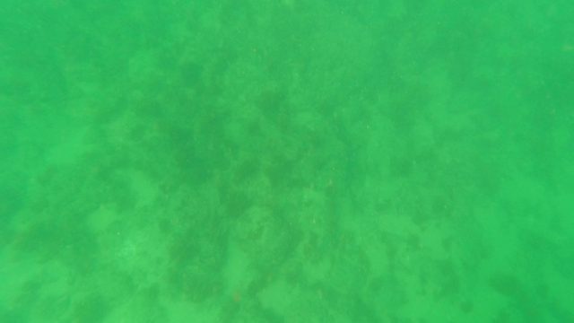 LOS BARIELLES BCS MEXICO-2023: Underwater Ocean Floor View Transitioning to Water Surface