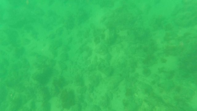 LOS BARIELLES BCS MEXICO-2023: Underwater Seabed with Gentle Water Movement