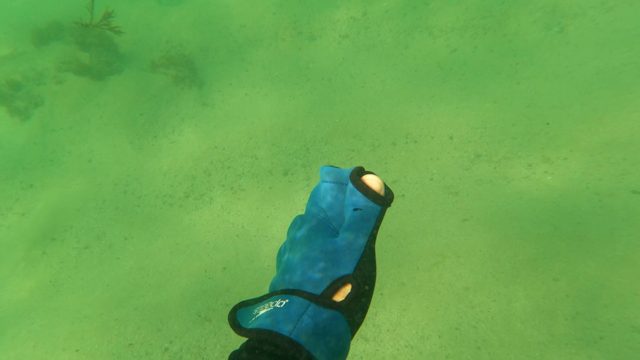 LOS BARIELLES BCS MEXICO-2023: Dive Glove Hand Moving Over Sandy Ocean Floor