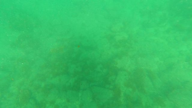 LOS BARIELLES BCS MEXICO-2023: Underwater Seabed with Coral and Sand Formations