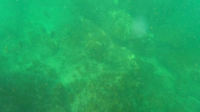 LOS BARIELLES BCS MEXICO-2023: Diver's Hand Exploring Rocky Seabed Underwater