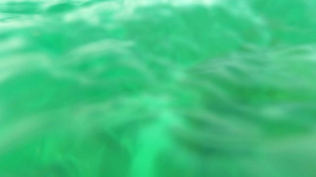 LOS BARIELLES BCS MEXICO-2023: Underwater Rocky Seabed with Seaweed Growth