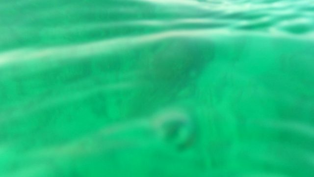 LOS BARIELLES BCS MEXICO-2023: Underwater View of Rocky Seabed in Clear Turquoise Water