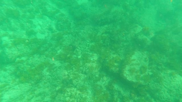 LOS BARIELLES BCS MEXICO-2023: Underwater Seabed with Swimmer Entering