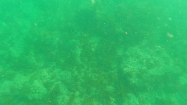LOS BARIELLES BCS MEXICO-2023: Underwater Ocean Floor with Surface Transition