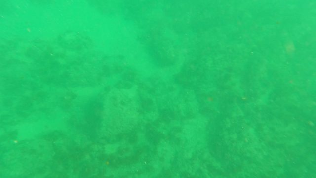 LOS BARIELLES BCS MEXICO-2023: Underwater View of Rocky Seabed with Floating Particles