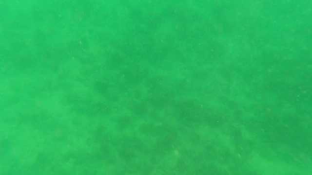 LOS BARIELLES BCS MEXICO-2023: Underwater Ocean Floor with Gentle Currents and Particles