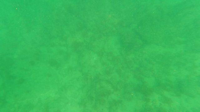 LOS BARIELLES BCS MEXICO-2023: Underwater View of Sandy Seabed with Gentle Currents