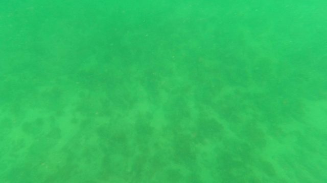 LOS BARIELLES BCS MEXICO-2023: Underwater View of Sandy Seabed with Gentle Currents