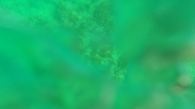 LOS BARIELLES BCS MEXICO-2023: Underwater Seabed with Rocky Formations and Marine Vegetation
