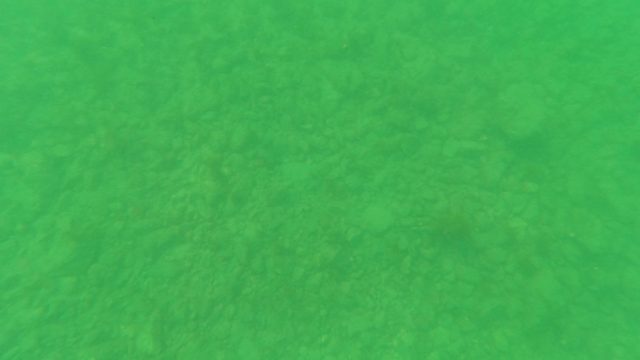 LOS BARIELLES BCS MEXICO-2023: Underwater Ocean Floor with Greenish Water and Sediment