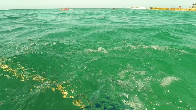 LOS BARIELLES BCS MEXICO-2023: Floating Rope and Ocean Water Near Beach