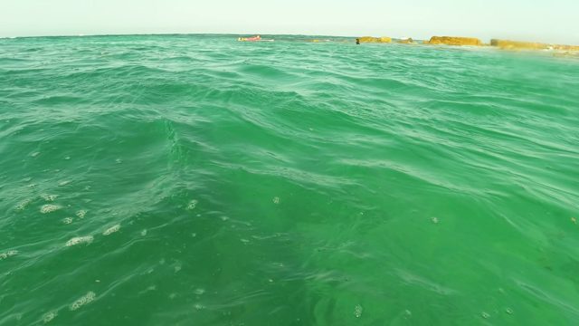 LOS BARIELLES BCS MEXICO-2023: Swimmers and Buoy in Clear Ocean Water