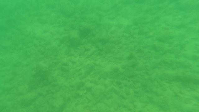 LOS BARIELLES BCS MEXICO-2023: Underwater View of Ocean Floor with Sandy Bottom