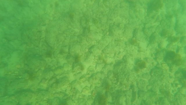 LOS BARIELLES BCS MEXICO-2023: Underwater Rocky Seabed with Green Water Tint