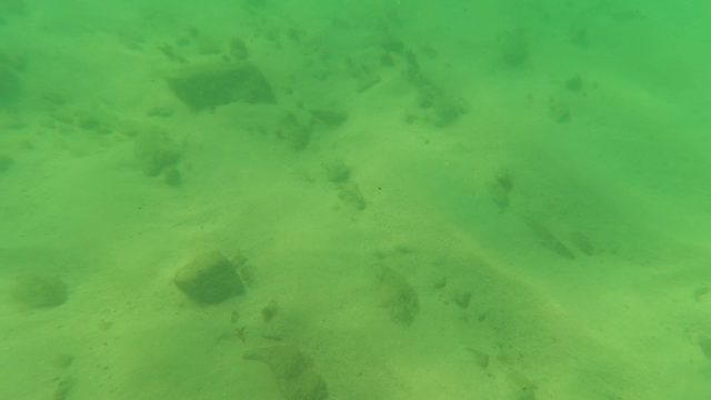 LOS BARIELLES BCS MEXICO-2023: Underwater View of Sandy Seabed with Rocks and Fish