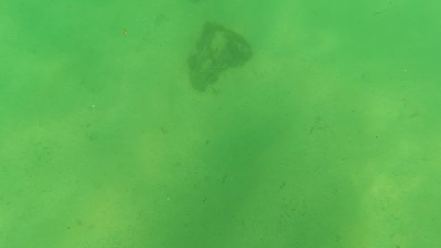 LOS BARIELLES BCS MEXICO-2023: Underwater Sandy Seabed with Moving Rocks