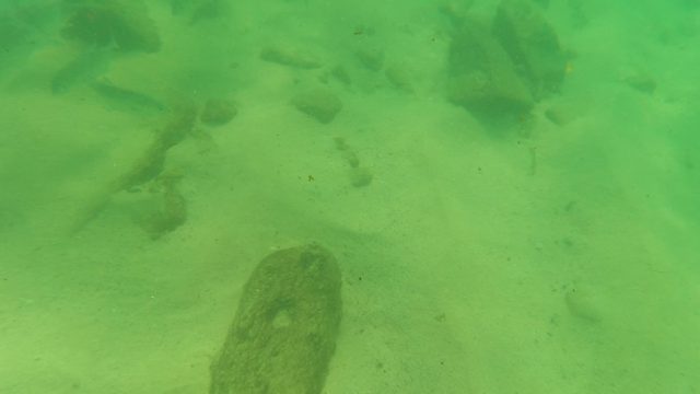 LOS BARIELLES BCS MEXICO-2023: Fish Swimming Over Sandy Riverbed with Rocks