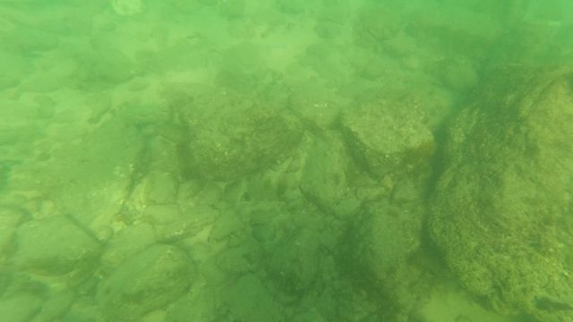 LOS BARIELLES BCS MEXICO-2023: Underwater View of Rocky Riverbed and Small Fish