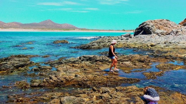 EL SARGENTO LA VENTANA MEXICO-2020: People Exploring Rocky Coastal Shore