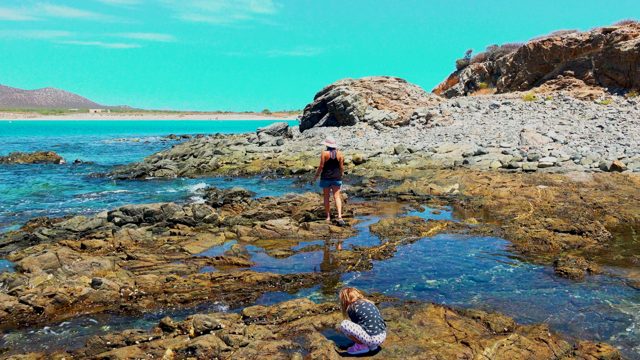 EL SARGENTO LA VENTANA MEXICO-2020: Child Exploring Rocky Shoreline with Adult