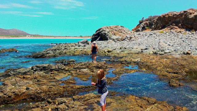 EL SARGENTO LA VENTANA MEXICO-2020: Kids Exploring Tidal Pools on Rocky Beach