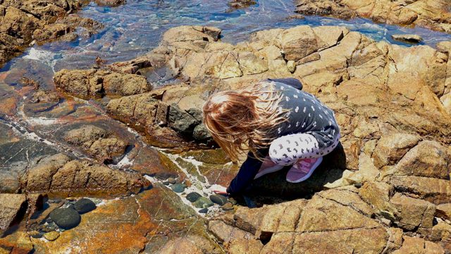 EL SARGENTO LA VENTANA MEXICO-2020: Child Exploring Rocky Coastal Shore with Water