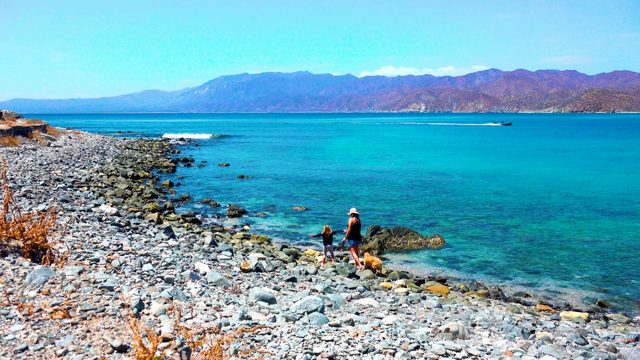 EL SARGENTO LA VENTANA MEXICO-2020: People and Dog Walking on Rocky Shore