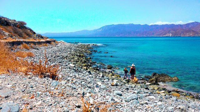 EL SARGENTO LA VENTANA MEXICO-2020: Adult and Child Exploring a Pebbly Beach