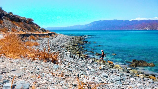 EL SARGENTO LA VENTANA MEXICO-2020: People and Dog on Rocky Shore by Clear Water