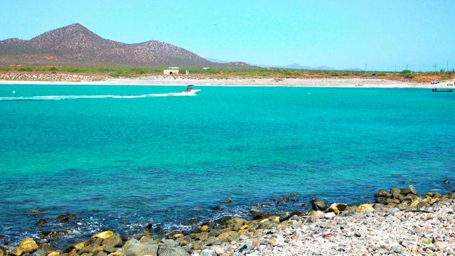 EL SARGENTO LA VENTANA MEXICO-2020: Speedboat Gliding Across Turquoise Beach Waters