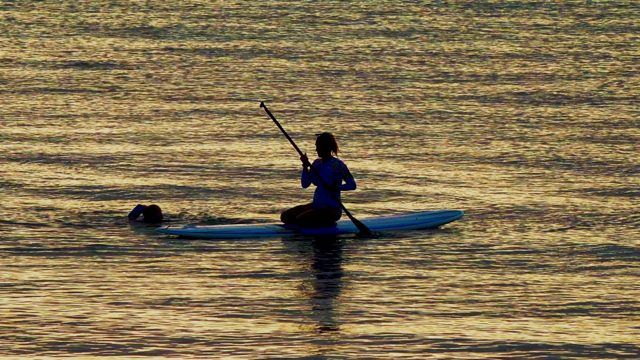 EL SARGENTO LA VENTANA MEXICO-2020: Paddleboarder and Swimmer in Golden Water