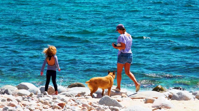 EL SARGENTO LA VENTANA MEXICO-2020: Child and Adult Playing with Dog on Rocky Beach