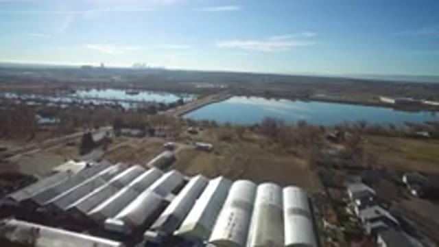 WESTMINSTER COLORADO-2016: A Bird Flying Low At Low Speed Over The City