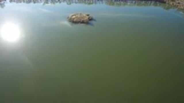 WESTMINSTER COLORADO-2016: A Lake With A Kind Of Island Trees Around And
