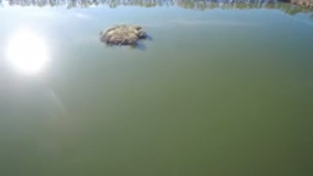 WESTMINSTER COLORADO-2016: Overhead View Of A Small Island In A Calm Body Of Water