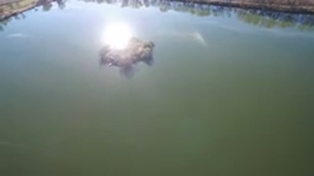 WESTMINSTER COLORADO-2016: Drone Footage Flying Over Lake Island In Middle Of