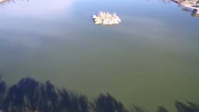 WESTMINSTER COLORADO-2016: Drone Footage Over Lake Tree Island In Middle Of Lake