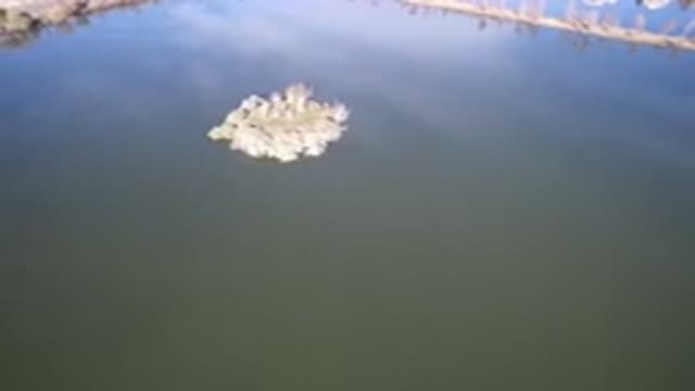 WESTMINSTER COLORADO-2016: The Water Reflects The Blue Sky And Creates An Illusion