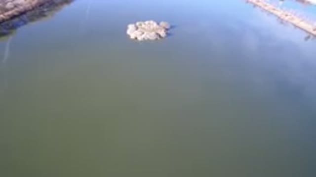 WESTMINSTER COLORADO-2016: A Couple Of Large Pools Of Water With A Shoreline