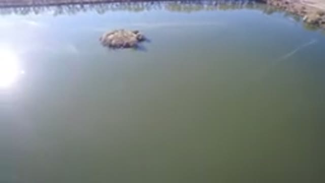 WESTMINSTER COLORADO-2016: Lagoon Waterfront Property Boating Kayaking Island