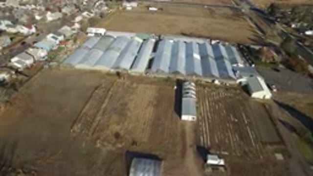 WESTMINSTER COLORADO-2016: Aerial View Of Farmland With Centrally Located Shades