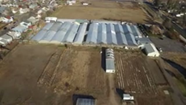 WESTMINSTER COLORADO-2016: Aerial Drone View Overhead Showing Farmland Near